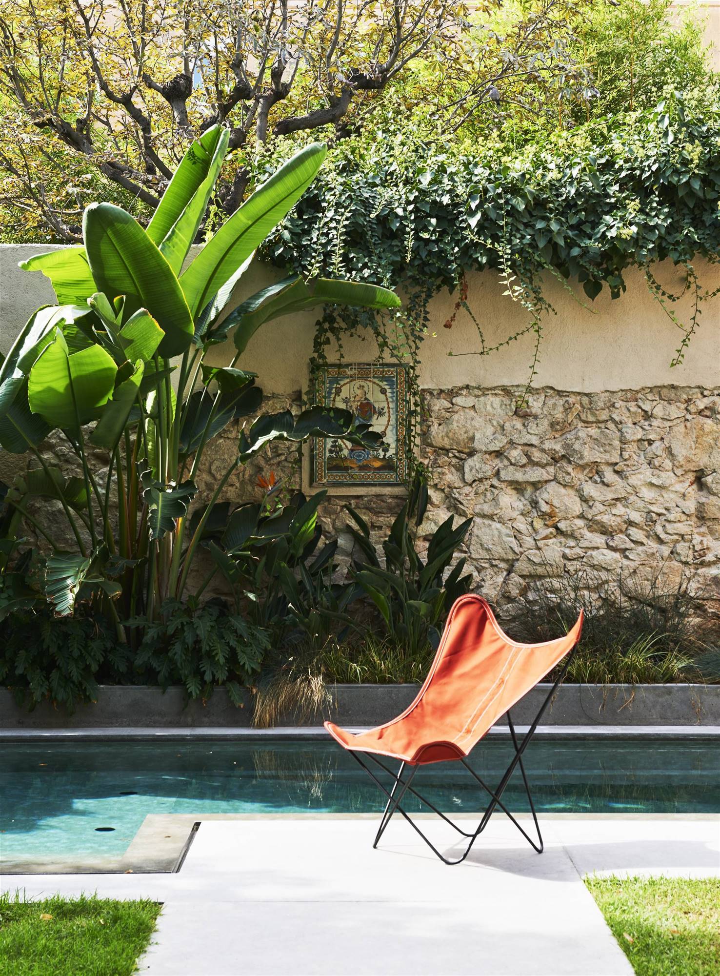 plantas terraza